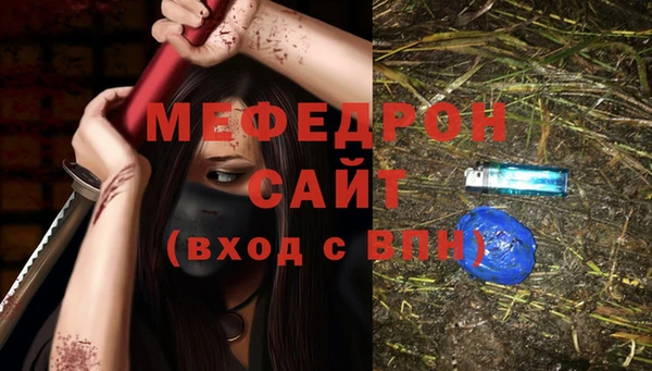 индика Богданович