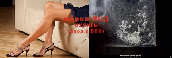 индика Богданович