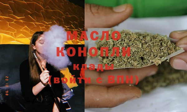 индика Богданович