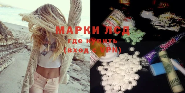 индика Богданович