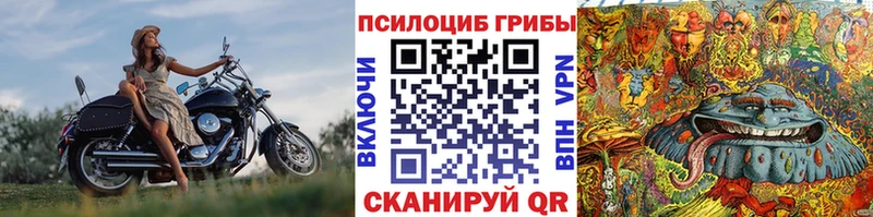 Купить закладки  Светлый  Галлюциногенные грибы Magic Shrooms 